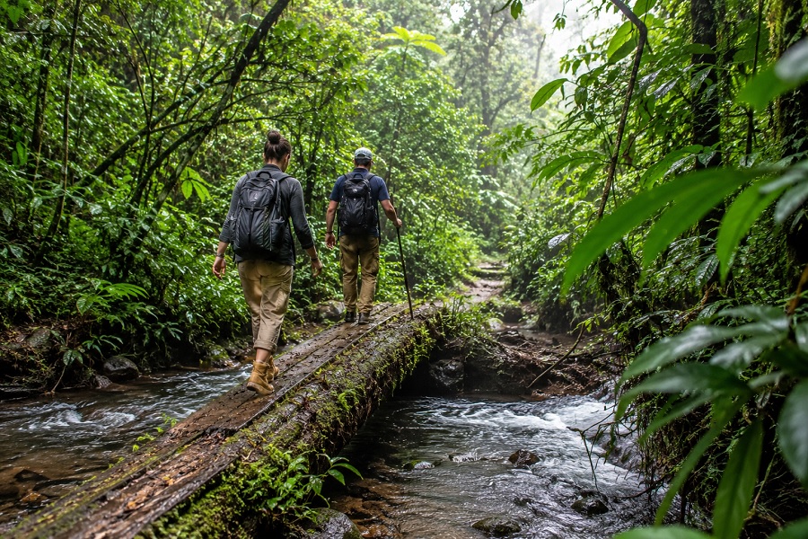 Rainforest Adventures 